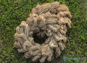 wianki naturalne wianek z trawy