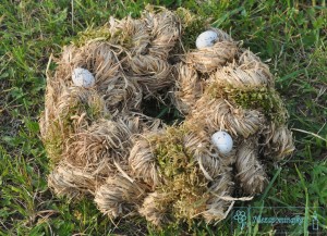 wianki naturalne wianek wielkanocny