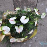 wience pogrzebowe wieniec z białego anturium