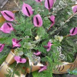 wience pogrzebowe wieniec z fioletowego anturium