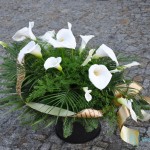 wience pogrzebowe wieniec z kalii