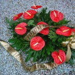 wience pogrzebowe wieniec z anturium