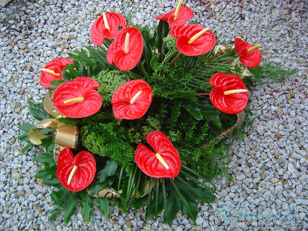 wience pogrzebowe wieniec z anturium www.kwiaty-leszno.pl