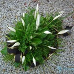 wience pogrzebowe wieniec z skrzydłokwiatów