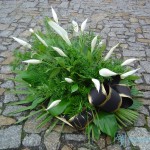 wience pogrzebowe wieniec z skrzydłokwiatów