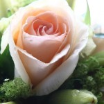 florystyka ślubna bukiet ślubny róże