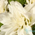 florystyka ślubna bukiet ślubny dalie