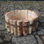 osłonka brzozowa leszno